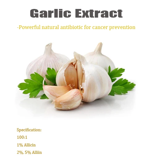 Bulk Garlic Extract Product Garlic Extract Powder Allicin& Alliin Nature Garlic
